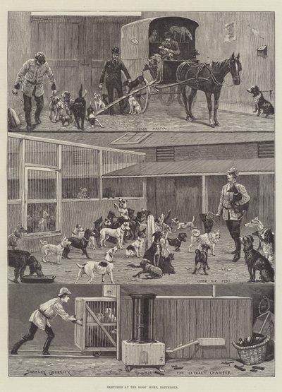 Bocetos en el refugio de perros, Battersea de Stanley Berkeley