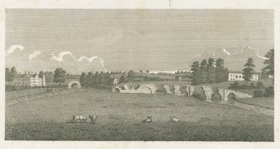 Puente de Wolseley: grabado de Stebbing Shaw