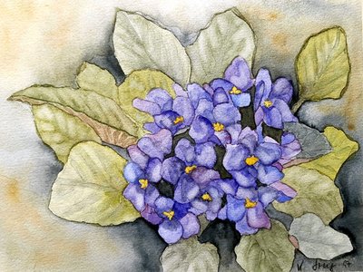 Violeta de Usambara de Steegs Art Karin