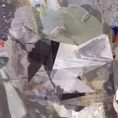 Aves abstractas en capas de Stefan Fransson