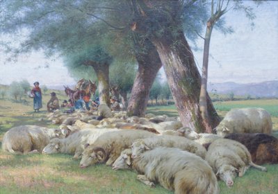 Oveja en reposo, c.1900 (óleo sobre lienzo) de Stefano Bruzzi