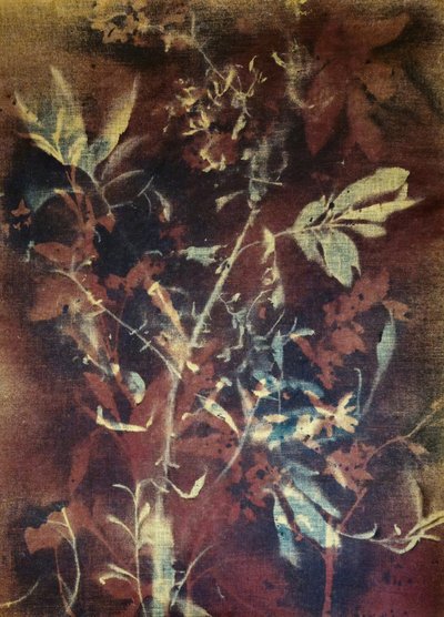  de Stefano Mazzolini