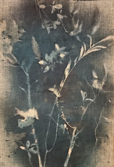  de Stefano Mazzolini