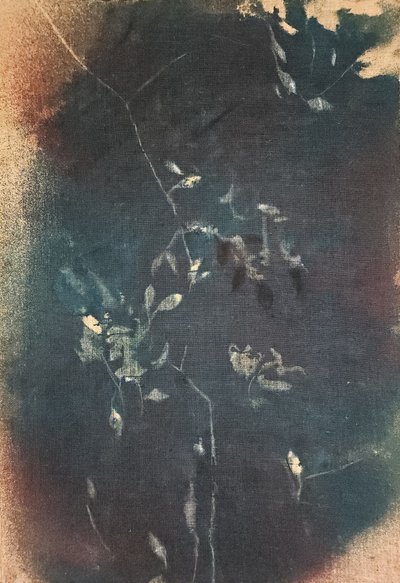  de Stefano Mazzolini