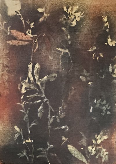  de Stefano Mazzolini