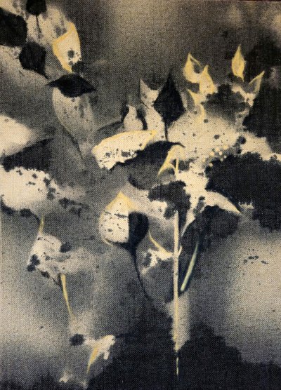  de Stefano Mazzolini