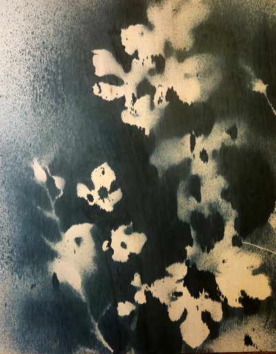  de Stefano Mazzolini