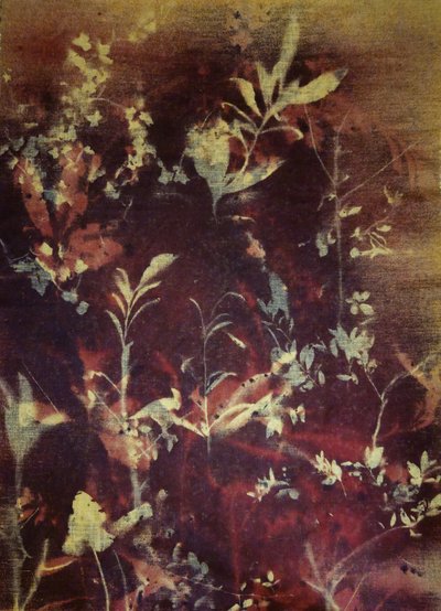  de Stefano Mazzolini