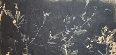  de Stefano Mazzolini