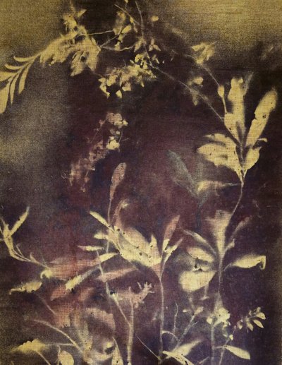 de Stefano Mazzolini
