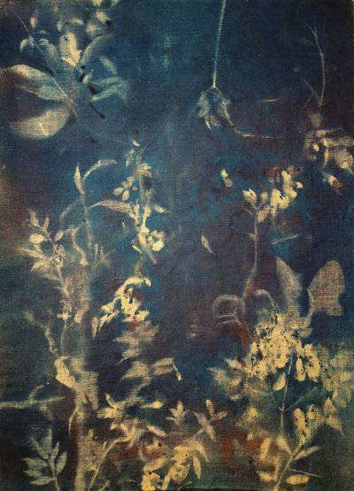  de Stefano Mazzolini
