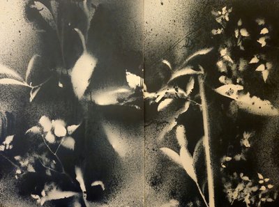  de Stefano Mazzolini