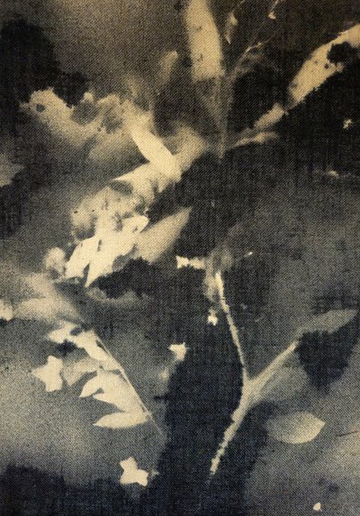  de Stefano Mazzolini