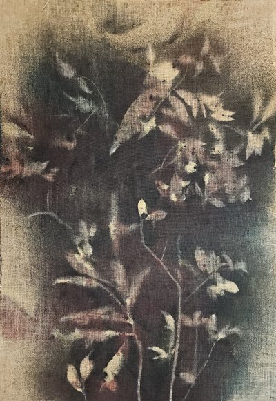  de Stefano Mazzolini