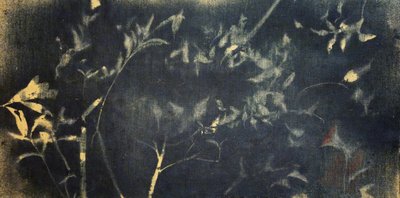  de Stefano Mazzolini