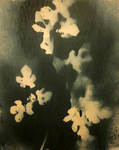  de Stefano Mazzolini