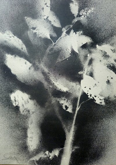  de Stefano Mazzolini