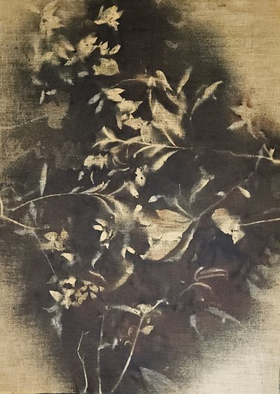 Sombras florales melancólicas de Stefano Mazzolini