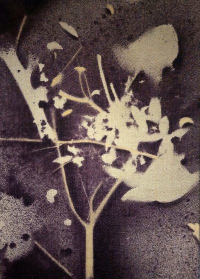  de Stefano Mazzolini