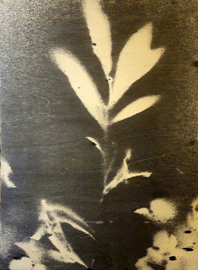  de Stefano Mazzolini