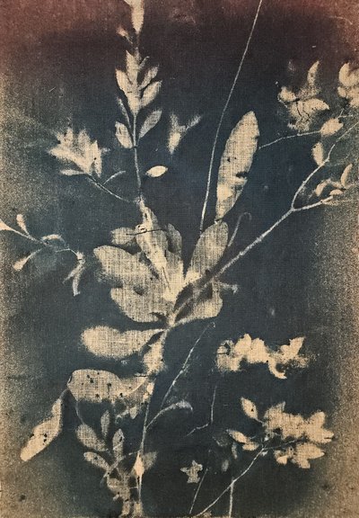  de Stefano Mazzolini
