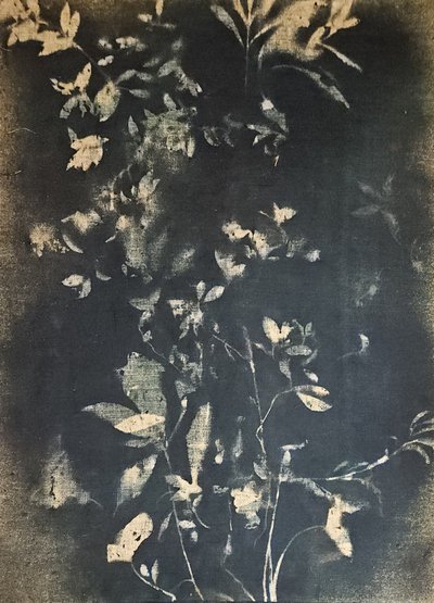  de Stefano Mazzolini