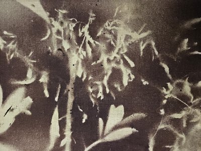  de Stefano Mazzolini