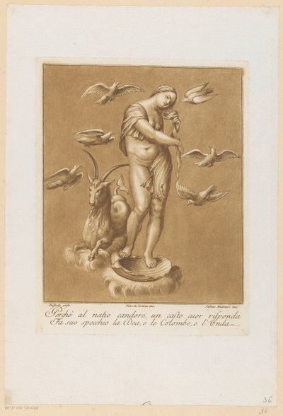venus anadiomene Plafondschilderingen van de Loggia di Galatea in de Villa Farnesina te Rome (título de la serie) de Stefano Mulinari