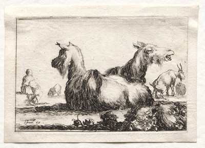 Caprichos: Dos cabras de Stefano della Bella