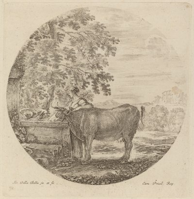 Vaca y joven pastor en una fuente de Stefano della Bella