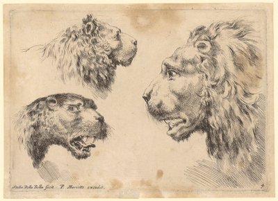 Tres cabezas de león de Stefano della Bella