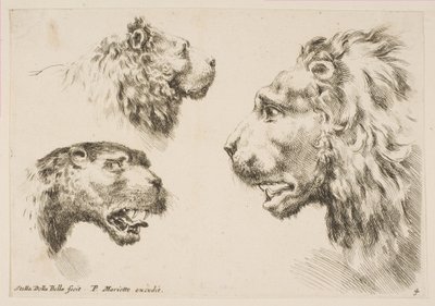 Cabezas de Tres Leones de Stefano della Bella