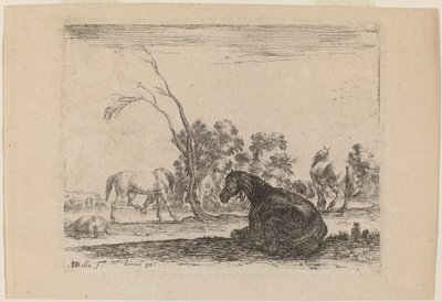Caballos en un Pastizal de Stefano della Bella