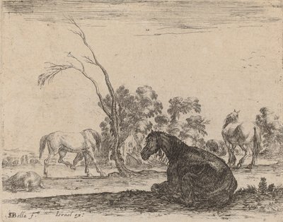 Caballos en un Pasto, 1642 de Stefano della Bella