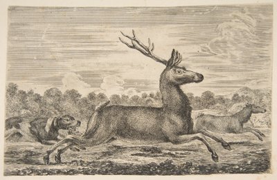 Perros persiguiendo a un Ciervo y una Cierva, ca. 1654 de Stefano della Bella