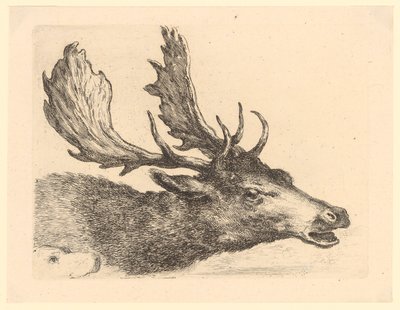  de Stefano della Bella