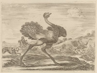 Caza de avestruces de Stefano della Bella