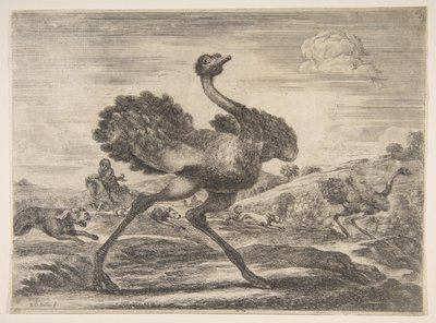 Caza de avestruces, de Cazas de animales, ca. 1654 de Stefano della Bella