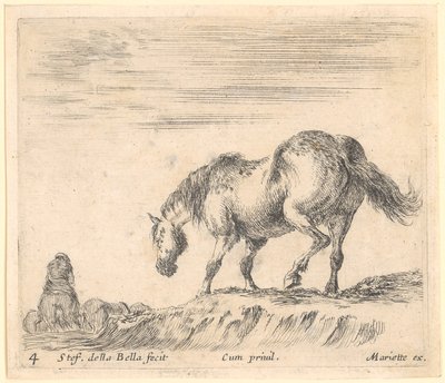  de Stefano della Bella