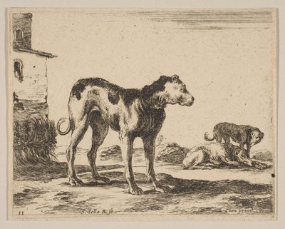 Perros, de Diversos animales de Stefano della Bella