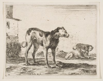 Lámina 11: perros, de Diversos animales de Stefano della Bella