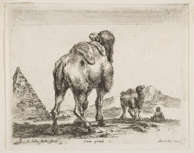 Placa 18: camello visto desde atrás con pirámide a la izquierda, de Diversos animales Diversi animali, ca. 1641 de Stefano della Bella
