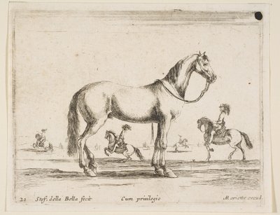 Placa 21: caballo, de Diversos animales, 1641 de Stefano della Bella