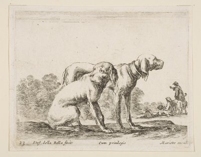 Placa 23: dos sabuesos, de Diversos animales Diversi animali de Stefano della Bella
