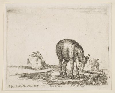 Placa 24: burros, de Various animals Diversi animali, ca. 1641 de Stefano della Bella