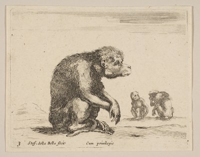 Placa 3: mono sentado, de Diversos animales de Stefano della Bella