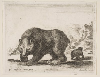 Placa 4: oso, de 