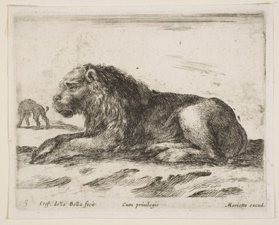 Placa 5: león reclinado, de Diversos animales de Stefano della Bella