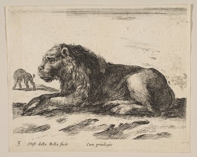 Placa 5: león reclinado, de varios animales Diversi animali, ca. 1641 de Stefano della Bella