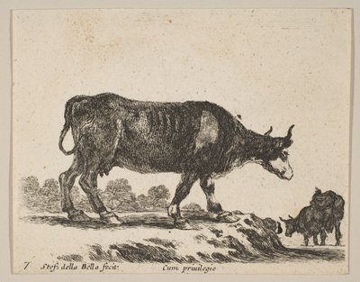 Placa 7: vaca, de Diversos animales Diversi animali, ca. 1641 de Stefano della Bella